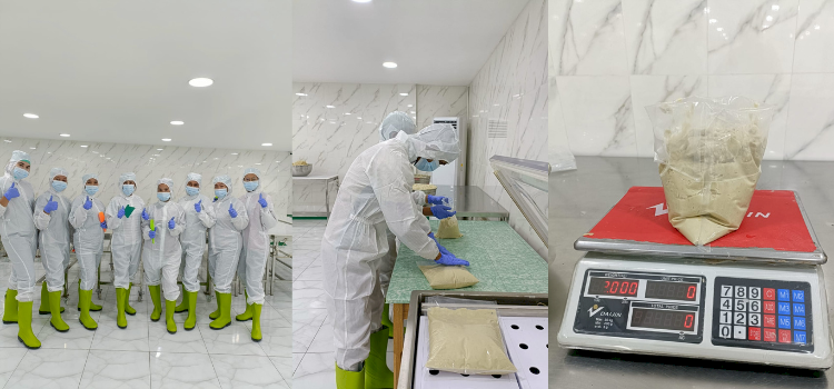 Pabrik  Durian Paste, Durian Puff, Durian Pulp terbesar dikota medan